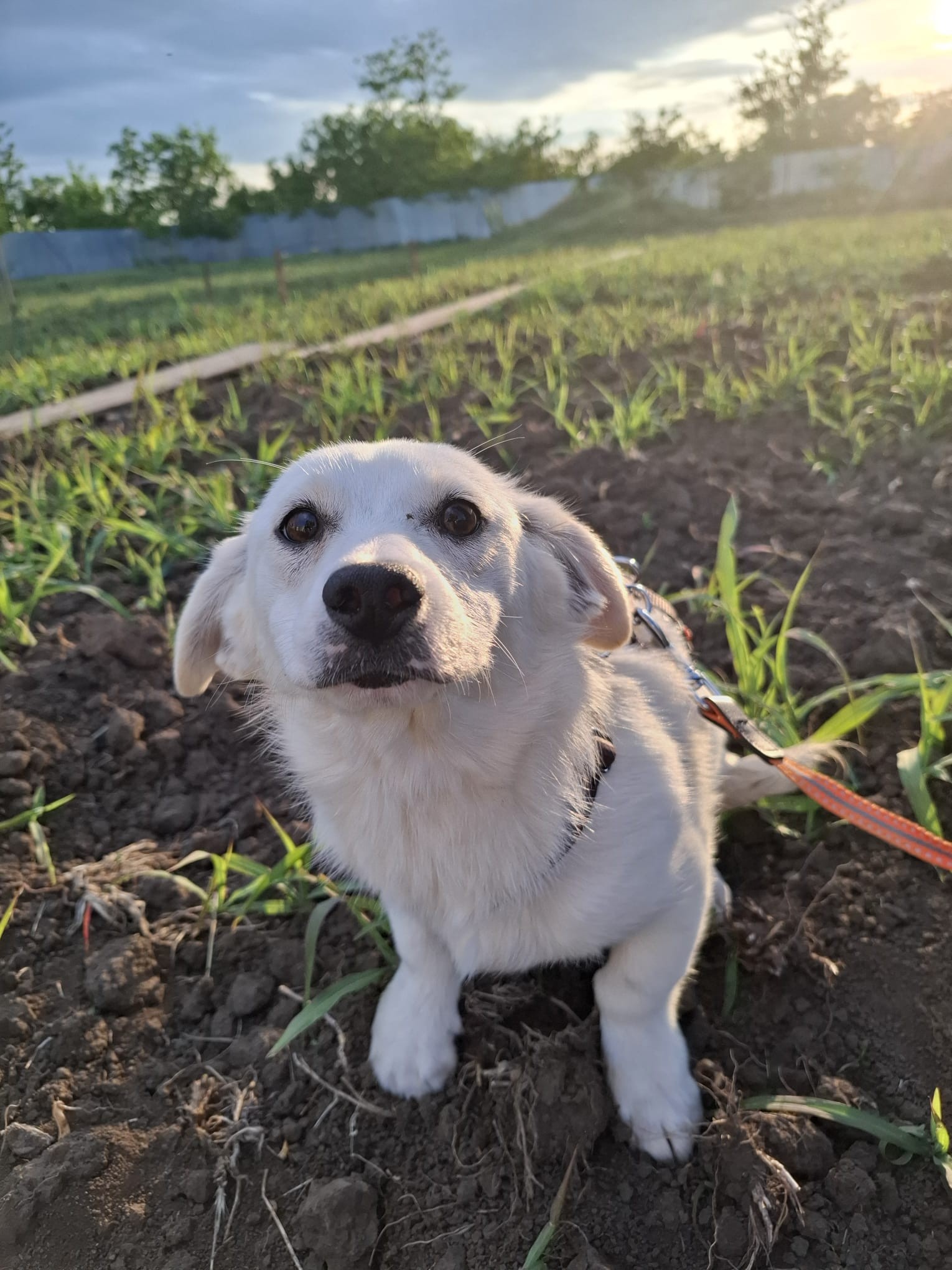 photo of Ayla