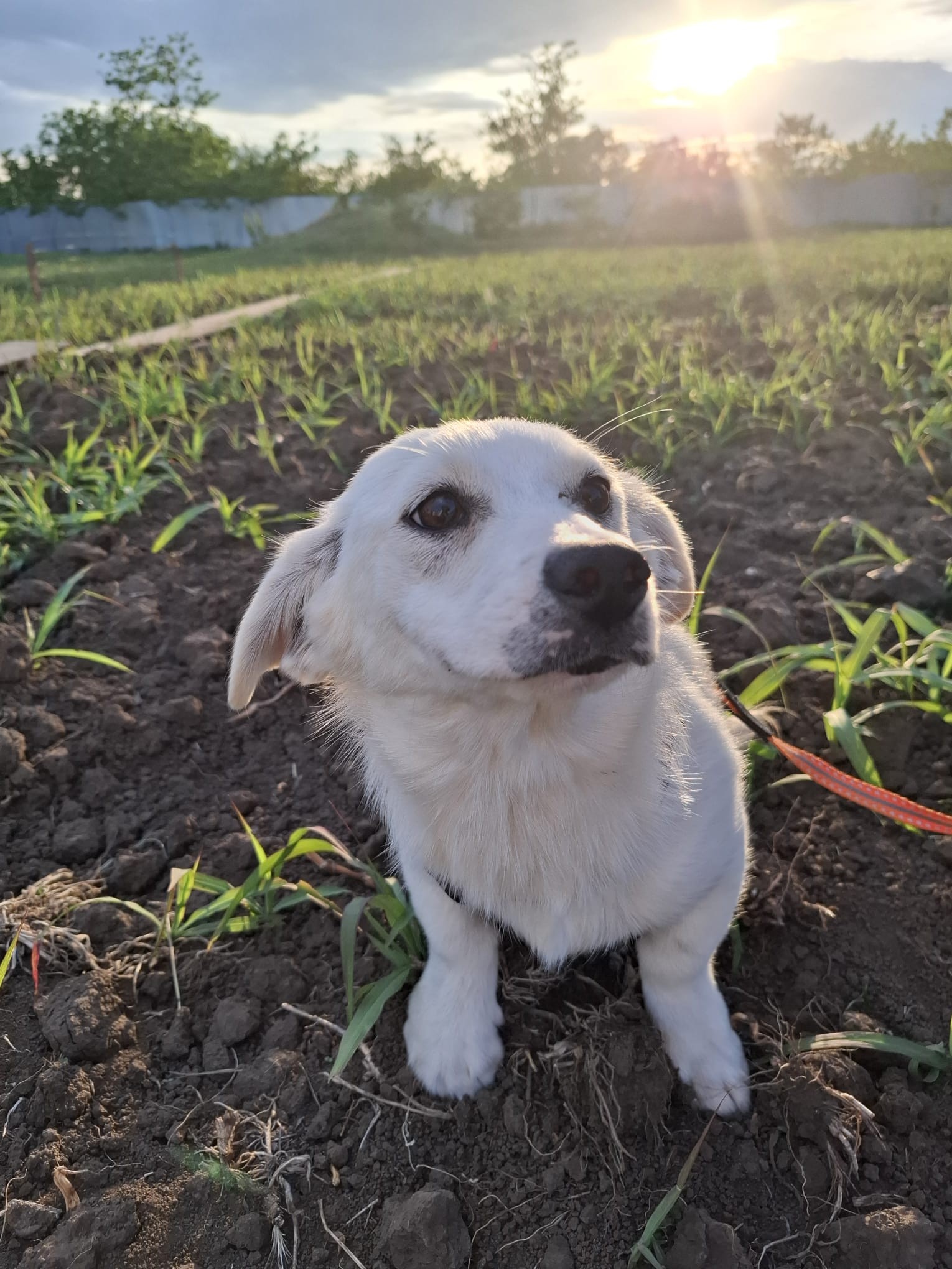 photo of Ayla
