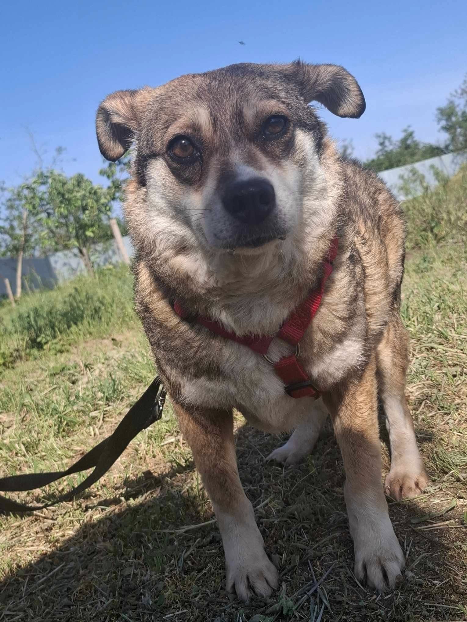 photo of Joy