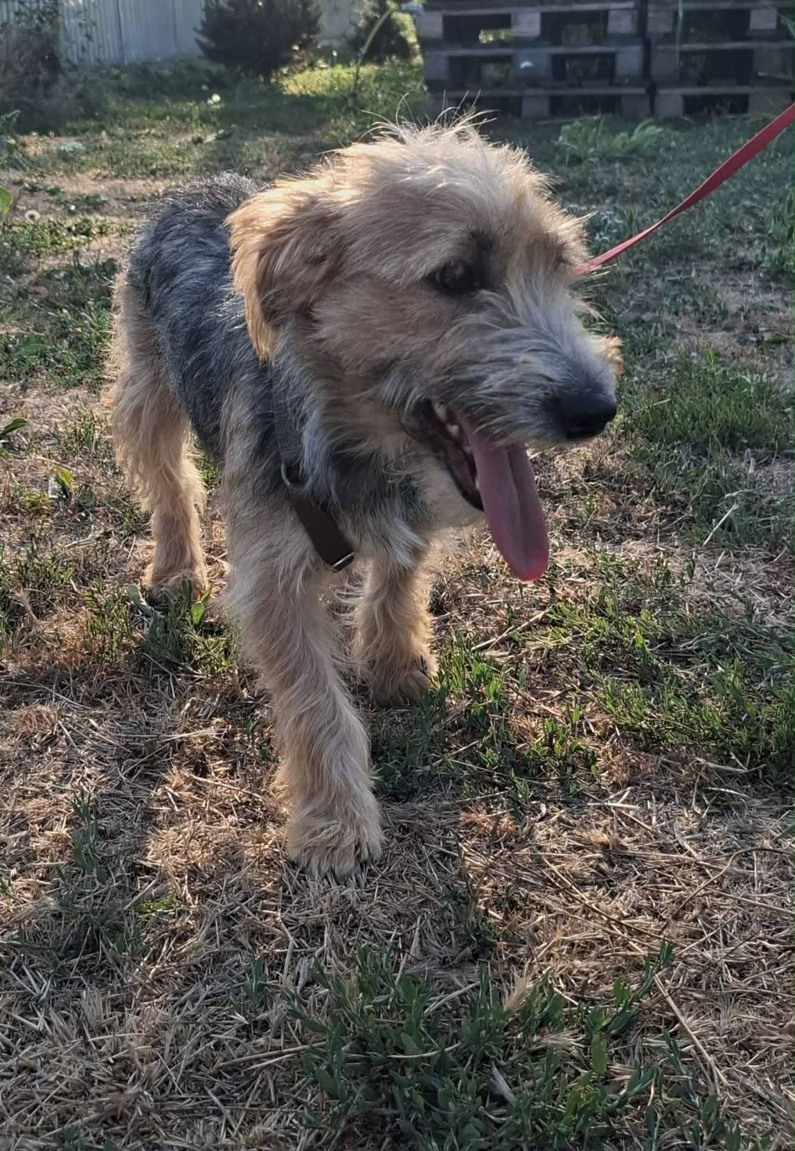 photo of Mia
